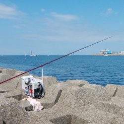 東二見西水道のキス情報