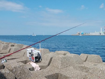 東二見西水道のキス情報