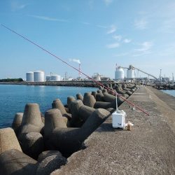 高砂港のキス情報