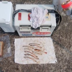 日ムラ激しい播磨新島のキス