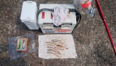 日ムラ激しい播磨新島のキス