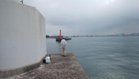 高砂港のキス情報