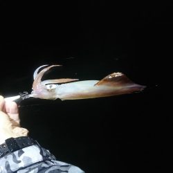 雨の中イカメタル