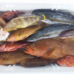 50UP届かず・・・?