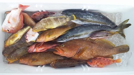 50UP届かず・・・?