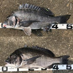 イチノ兄弟、釣果!!