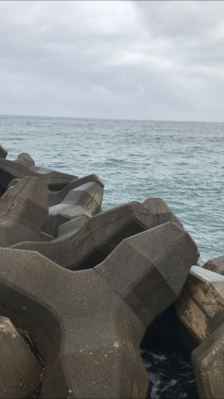 シーバスどこへ…