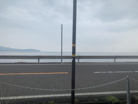 アコウ入れ食い