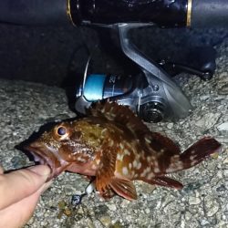 メバリングまだ好調!