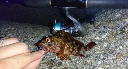 メバリングまだ好調!