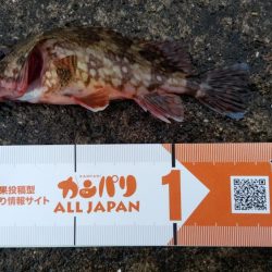 湯浅醤油を買いに行った序でに