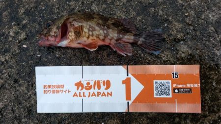 湯浅醤油を買いに行った序でに