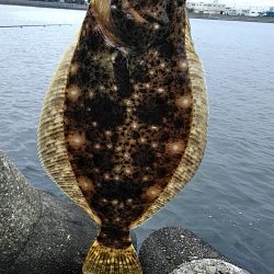 まさかの魚が