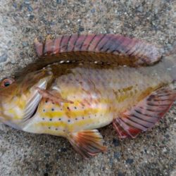 山代温泉旅行の帰りに