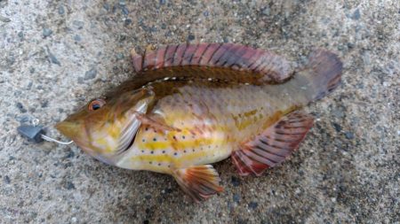 山代温泉旅行の帰りに