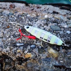 休みだから夕方にもお出掛け