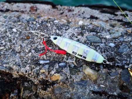 休みだから夕方にもお出掛け