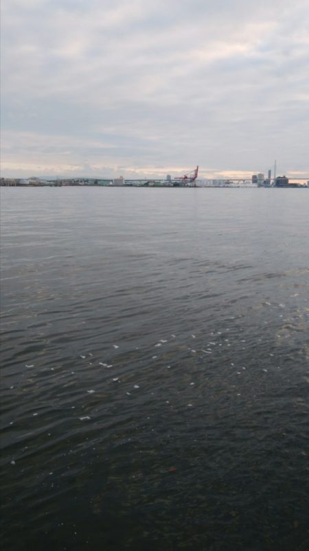 出勤前の短時間釣行