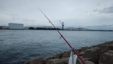 東二見西水道のキス情報