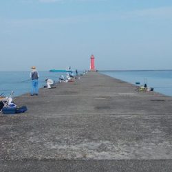 播磨新島のキス情報