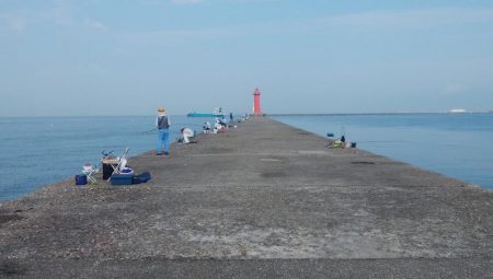 播磨新島のキス情報