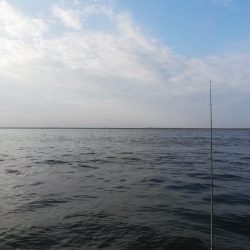 針先チェックは忘れずに！