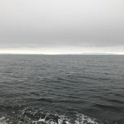 夏が近づいてきた