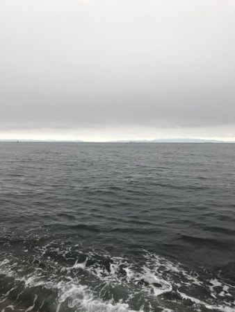 夏が近づいてきた