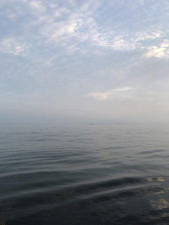 夏のライトショアジギング2