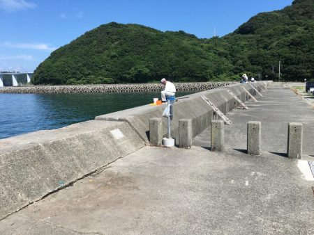 スズメダイ9匹、豆アジ1匹