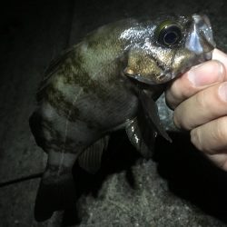 そろそろ終わりにしましょうか？