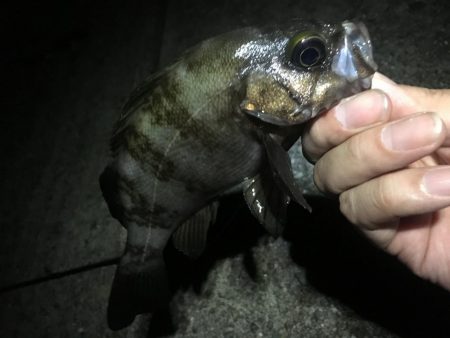 そろそろ終わりにしましょうか？