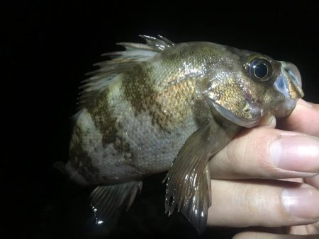 まだ行ってます！