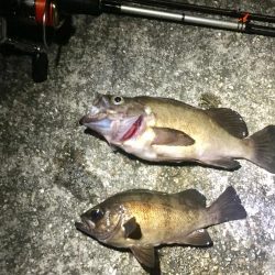 感動のフィナーレ！？