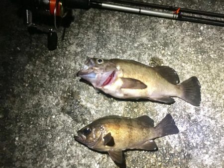 感動のフィナーレ！？