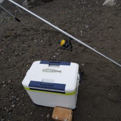 梅雨のキス釣り