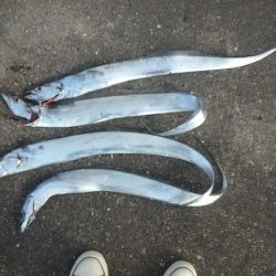 この場を借りて･･･