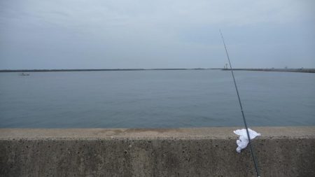 太刀キャッチできず。。