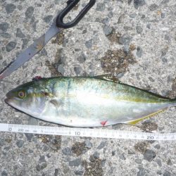 ギリボウズ逃れ＾＾；