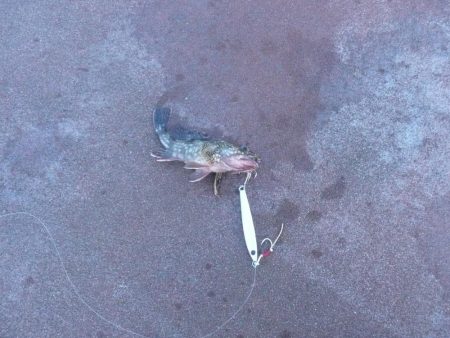 楽しい釣行でした