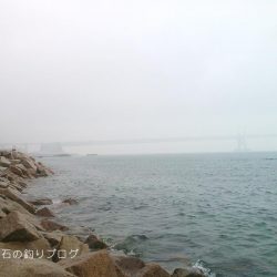 サヨリとクロダイ。