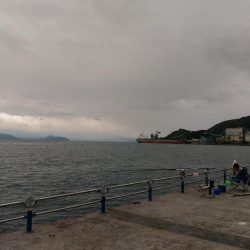 船釣りが出来なかったので舞鶴親海公園にて