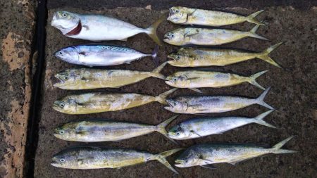 ショアジギ3目釣り