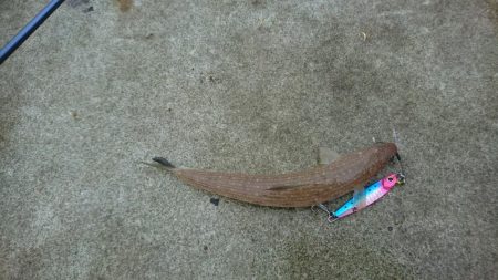 梅雨前線停滞あいにくの雨、花火も上がり夏来る