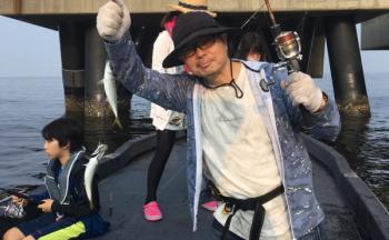 シーマジカル 釣果