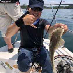 Magic(マジック) 釣果