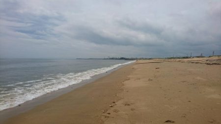 ２日連続でマゴチをゲット！