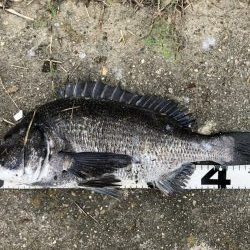 イチノ兄弟、釣果！