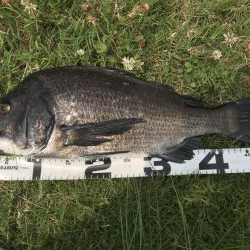 イチノ兄弟、釣果!!