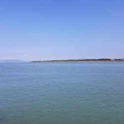 増水後の紀ノ川調査。写真はさば折り失敗…